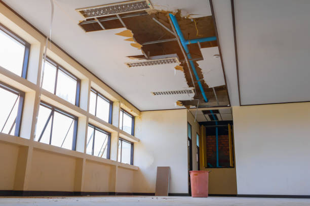 Best 24-hour water damage restoration  in Lakewood Park, FL