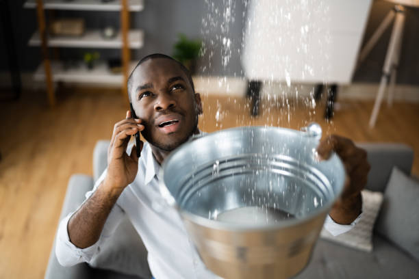 Best Commercial water damage restoration  in Lakewood Park, FL
