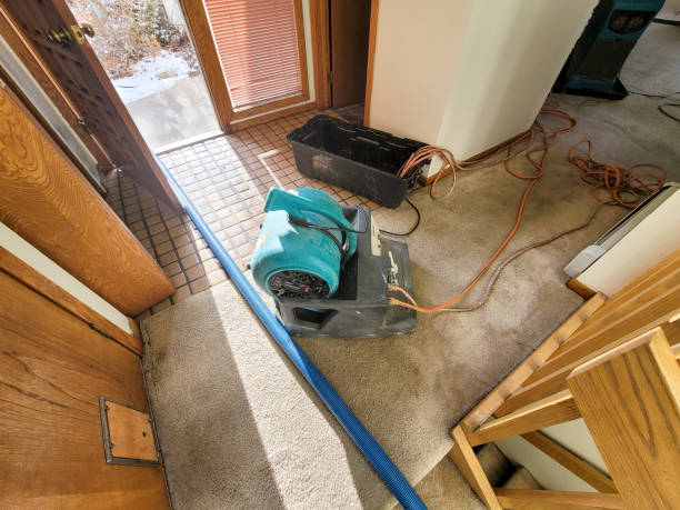 Best Flood damage cleanup  in Lakewood Park, FL