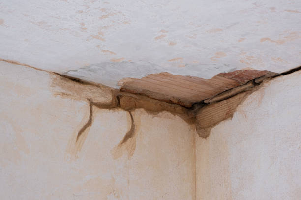 Best 24/7 water damage repair  in Lakewood Park, FL