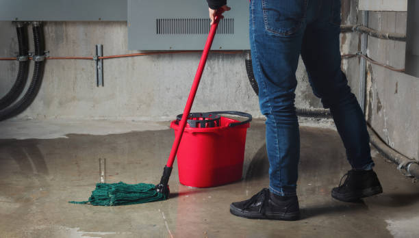 Best Residential water damage restoration  in Lakewood Park, FL