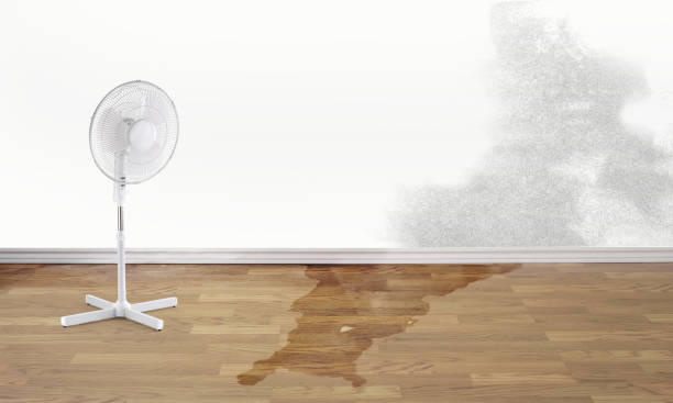Best Sewage cleanup and water damage restoration  in Lakewood Park, FL