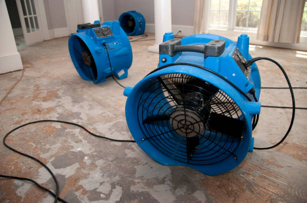 Water damage restoration process in FL