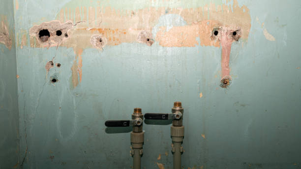 Best 24-hour water damage restoration  in Lakewood Park, FL