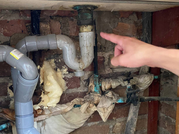 Best Basement water damage restoration  in Lakewood Park, FL