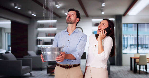 Best Water damage restoration near me  in Lakewood Park, FL