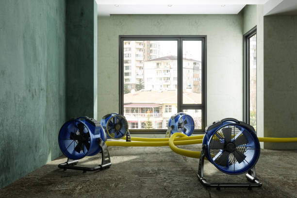 Best Professional water damage repair  in Lakewood Park, FL