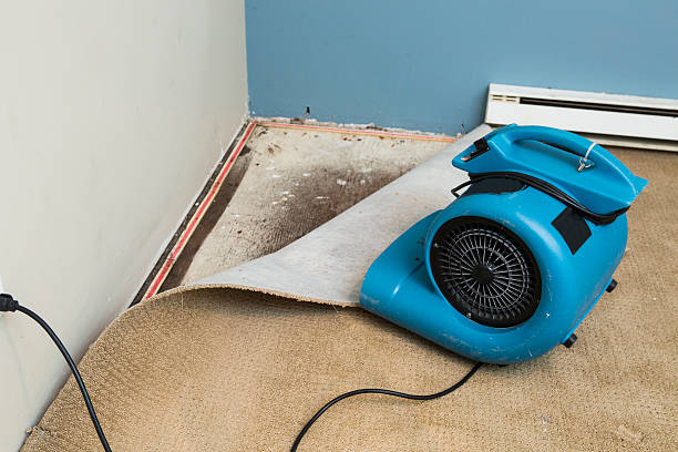 Best Flood restoration services  in Lakewood Park, FL